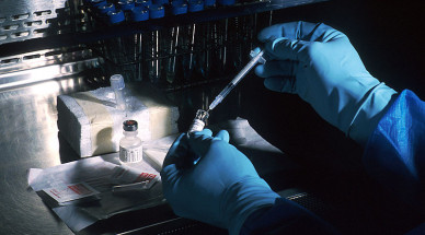 Scientists create world's first synthetic, non-biologic vaccine