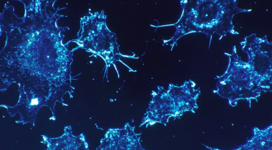 A cure for cancer? Israeli scientists may have found one