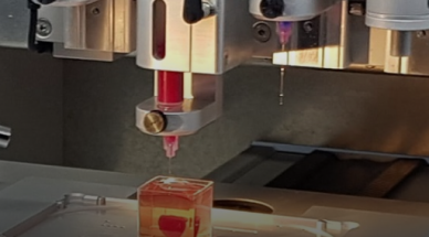 Israeli Scientists 3D-Print A Tiny, Live Heart Made With Human Tissue