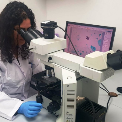 Keren Gueta Milshtein, director of R&D Micromedic Technologies in Ramat Gan, examining slides from the prostate cancer screening study. Photo: courtesy