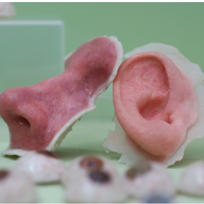Face of the future: A 3-D-printed prosthetic nose and ear, on display at a 3-D expo in London