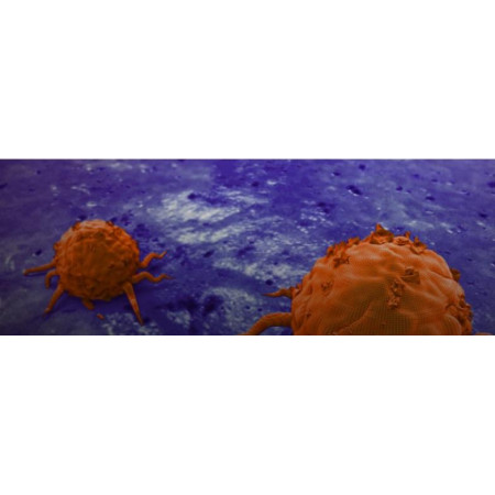 3D illustration of cancer cells
